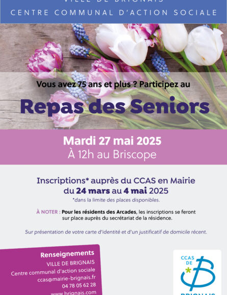 affichea3 repasseniors2025