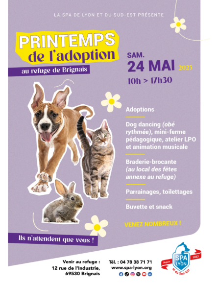 affiche_SPA_2025
