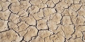 dry cracked ground